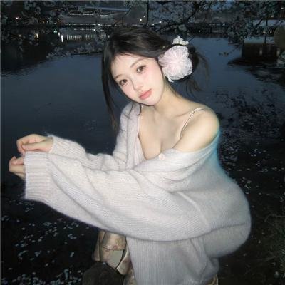 极品家丁